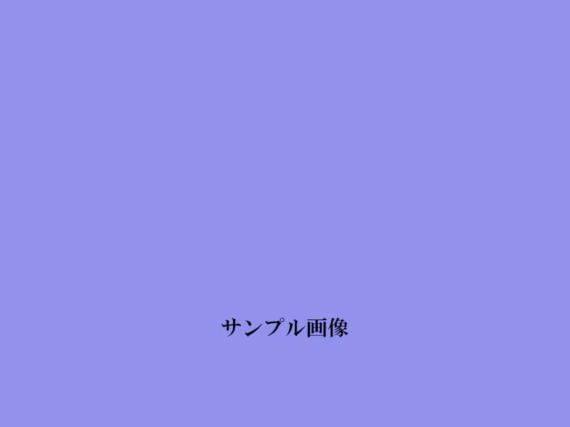 サンプル１