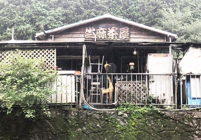 釣り堀１