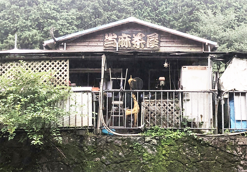 釣り堀１