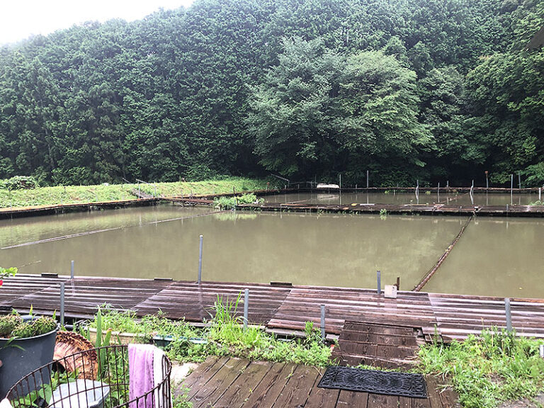 釣り堀２
